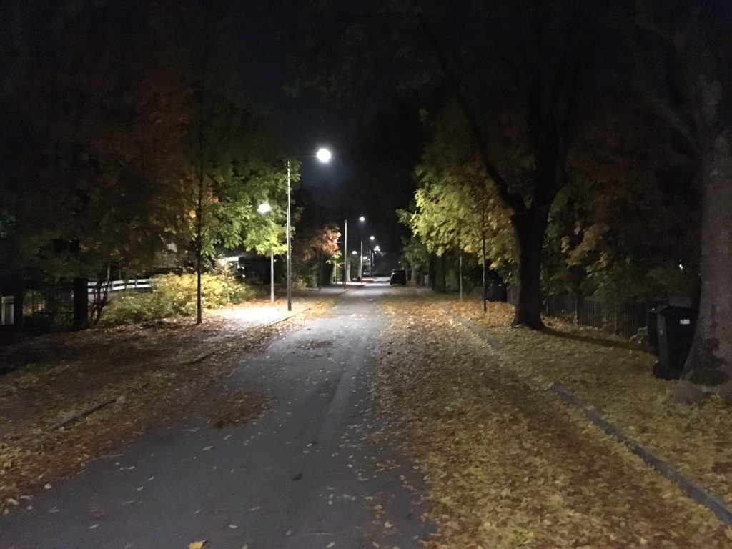 Gatlyktor, alléträd och höstlöv på en lätt dimmig nattgata i Älvsjö. foto: Rasmus Larsson